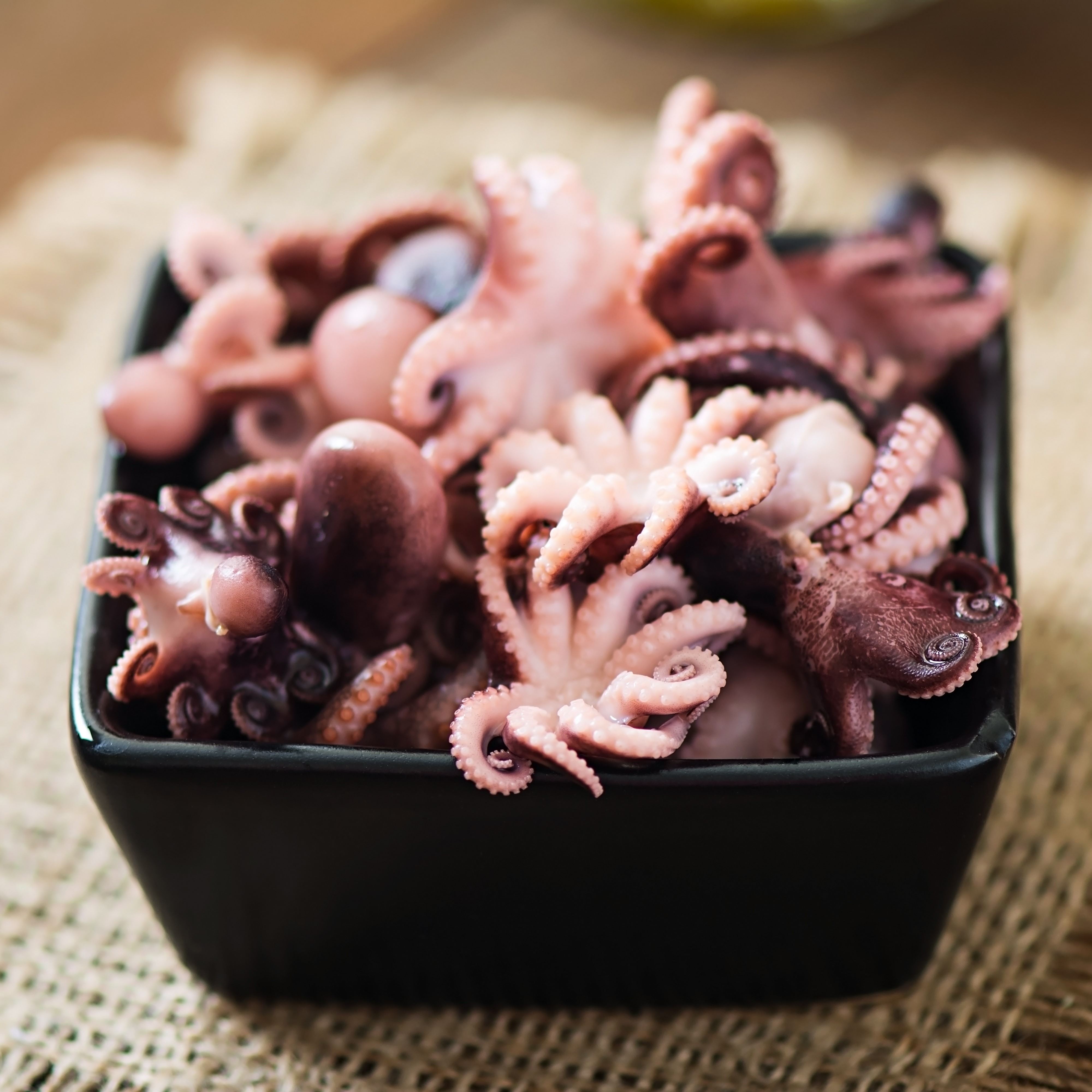 South Korea frozen octopus import in December 2022